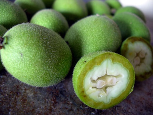 Натуральний гідролат зеленого горіху 